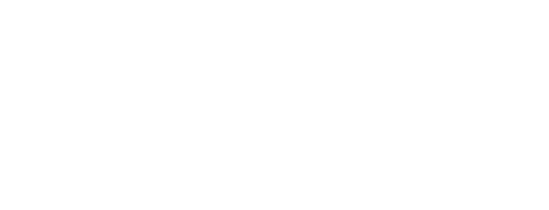The Engineer